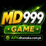 MD999 Game