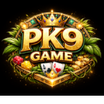 PK9 Game