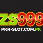 ZS999 Game